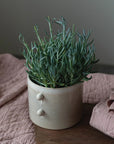 Glazed Stoneware Planter